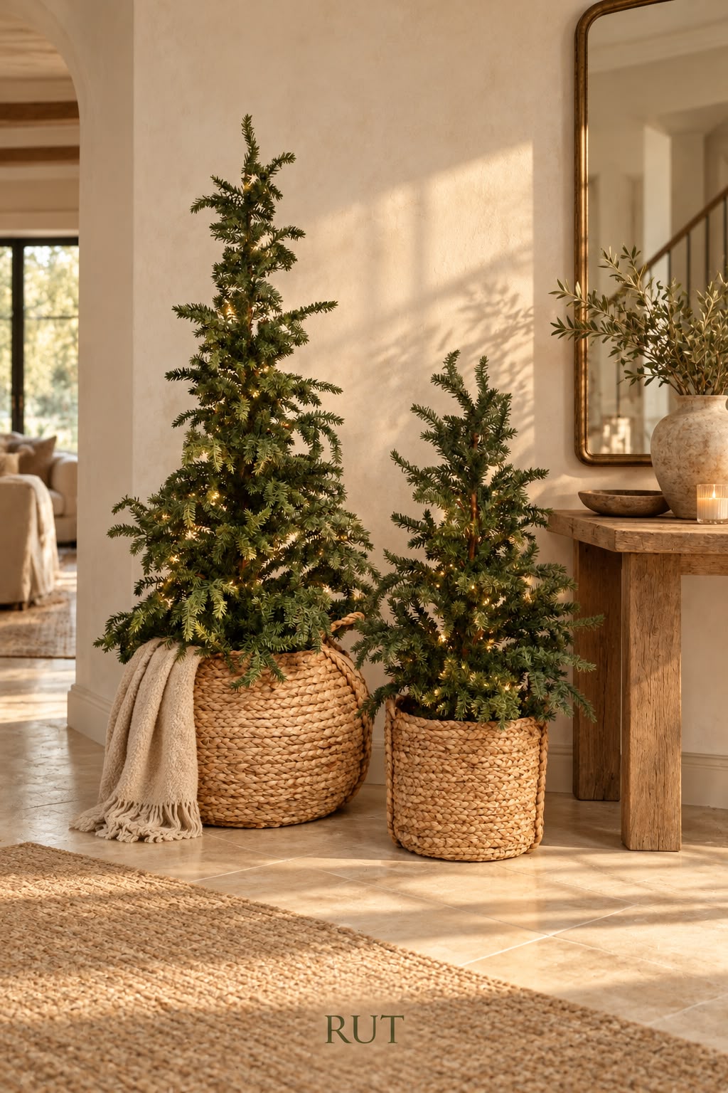 Árbol Abeto Nordmann No.26 — Árboles de Navidad