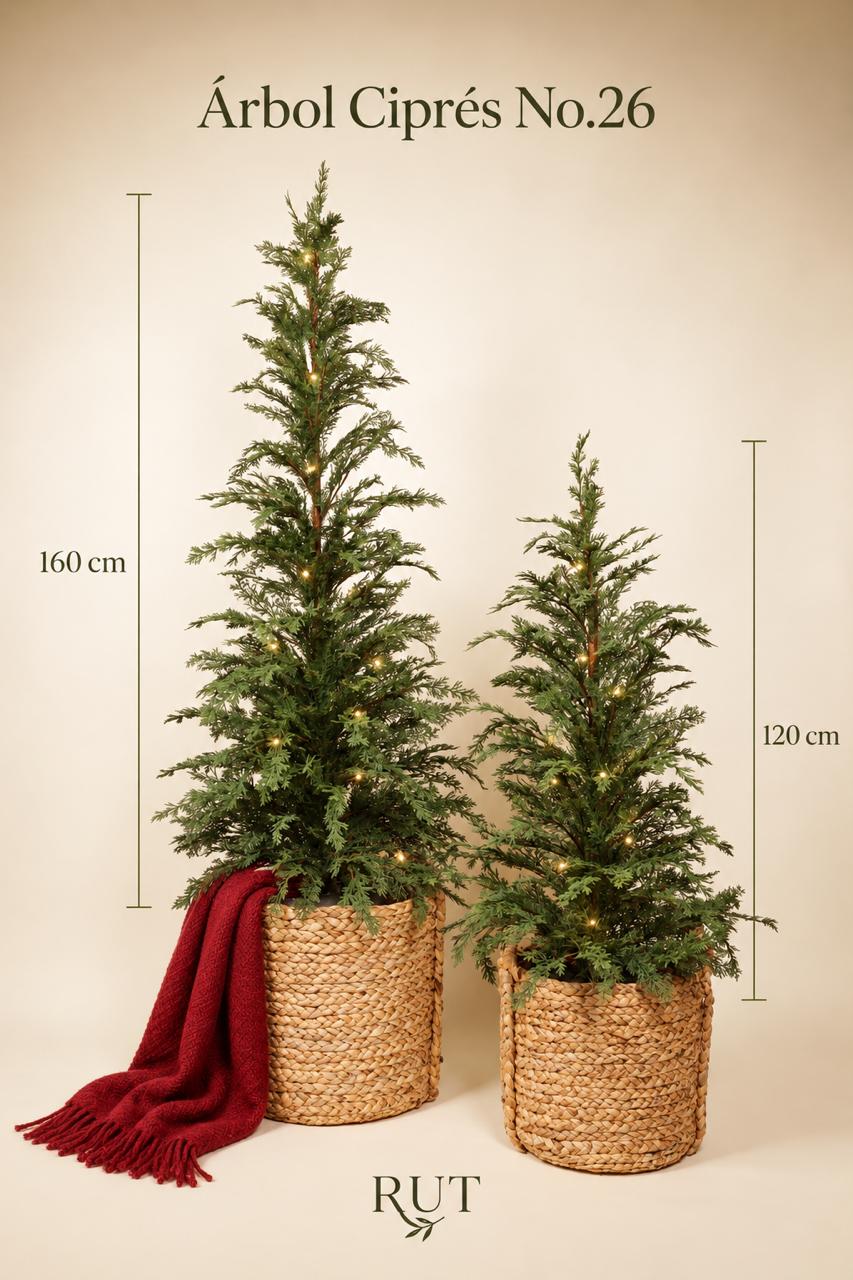 ARBOL CIPRES 160CM No.26 — Árboles de Navidad